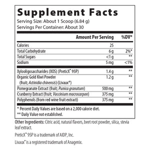 Prebiotic Synergy Powder