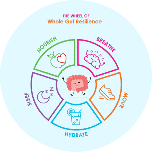 Wheel of Whole Gut Resilience