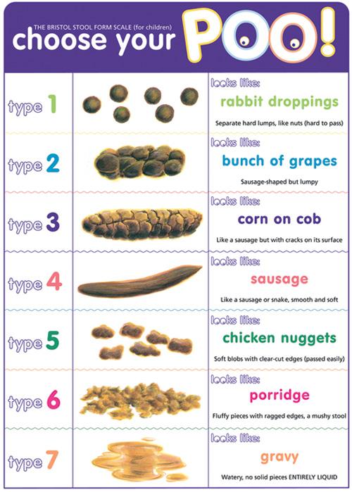 BristolPooChart