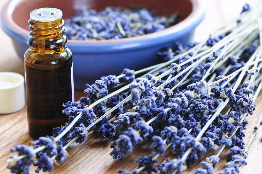 Lavender Herb And Essential Oil