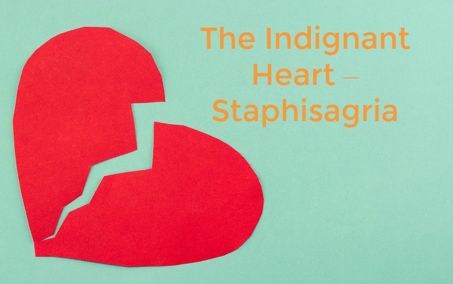 Heart - Staphisagria