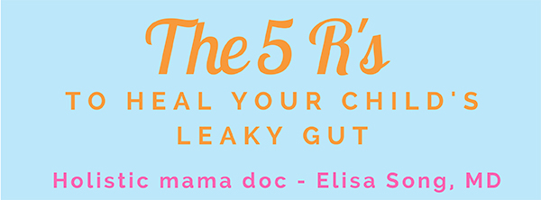 Leaky Gut Guide